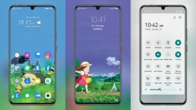 Totoro 2 EMUI Theme