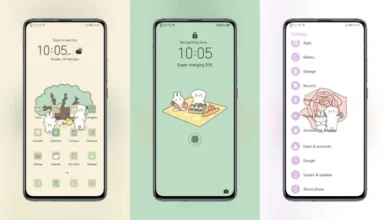 Bunny and Bear EMUI Theme