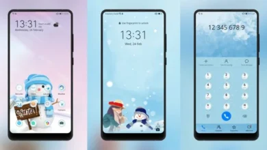 Farewell to winter EMUI Theme