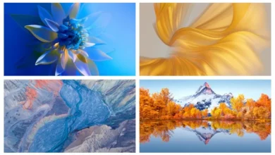 Huawei Mate X2 Stock Wallpapers