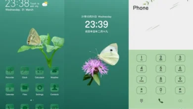 Butterflies in Love with Flowers EMUI Theme