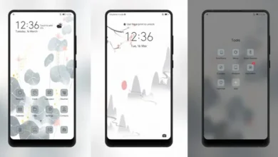 Dai Sheng Hua EMUI Theme
