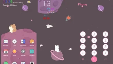 Love in Air EMUI Theme