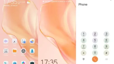 Orange Wings one take EMUI Theme