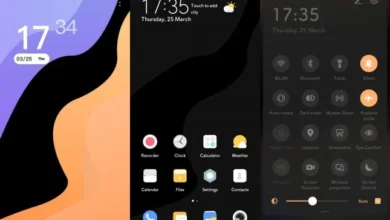 Shrek EMUI Theme