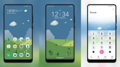 Spring Wing EMUI Theme