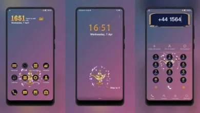 Aladdin EMUI Theme