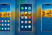 Autumn Populus one take EMUI Theme