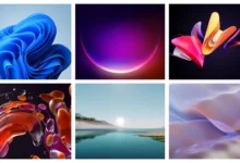 Windows 11 Wallpapers