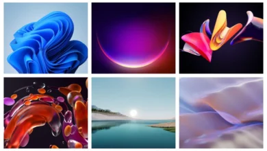 Windows 11 Wallpapers