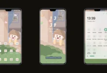 Lovely Juan EMUI Theme