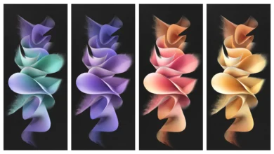 Samsung Galaxy Z Flip 3 Stock Wallpapers