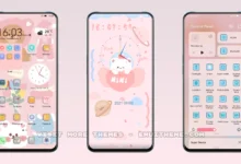 Cherry Bear EMUI Theme