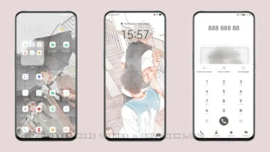 Friends EMUI Theme