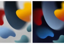 iPad 2021 Wallpapers