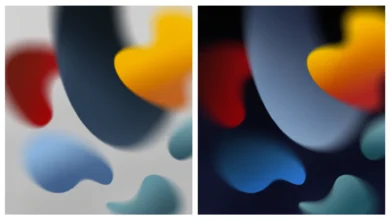 iPad 2021 Wallpapers