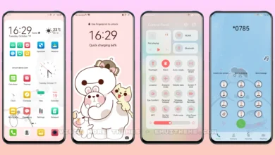 Baymax Friend EMUI Theme
