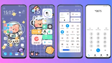 Bear Astronaut EMUI Theme