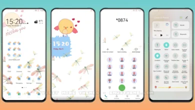Chick Flying EMUI Theme