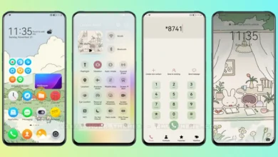 Friend EMUI Theme