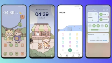 Bear Friend EMUI Theme