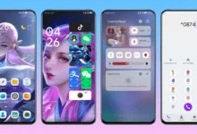 Diao Chan EMUI Theme