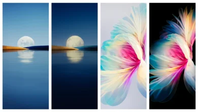 Huawei P50 Pocket Wallpapers