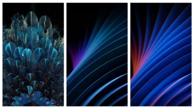 Oppo Find N Wallpapers