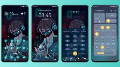 Punk Boys EMUI Theme