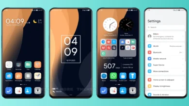 ZOOM EMUI Theme