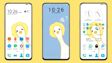 Happy duck EMUI Theme
