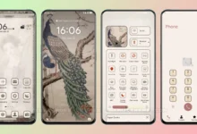 Peacock Rhyme EMUI Theme