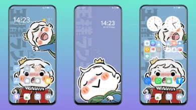 Ranking of Kings EMUI Theme