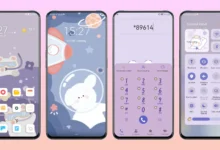Space Bear Tour EMUI Theme