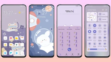 Space Bear Tour EMUI Theme