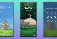 Totoro v3 EMUI Theme