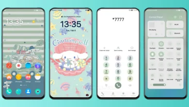 Cinnamon EMUI Theme