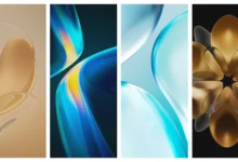 Honor Magic V Wallpapers