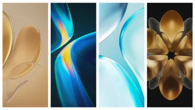 Honor Magic V Wallpapers