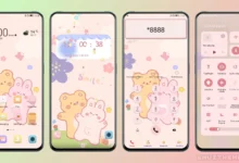 Two Bears EMUI Theme