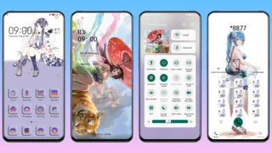 Anime Girl EMUI Theme