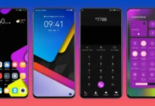 Mimicry Color EMUI Theme