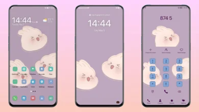Baobao EMUI Theme