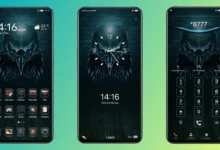 Eagles Gaze EMUI Theme