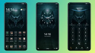 Eagles Gaze EMUI Theme