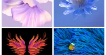 Huawei Mate Xs 2 Wallpapers