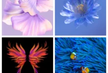 Huawei Mate Xs 2 Wallpapers