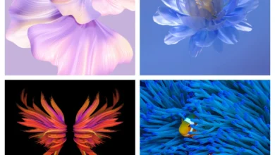 Huawei Mate Xs 2 Wallpapers