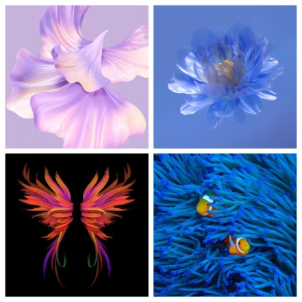 Huawei Mate Xs 2 Wallpapers