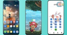 One Piece CHOPPER EMUI Theme